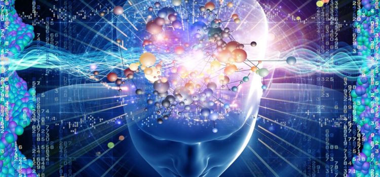 В Киеве 2 сентября пройдет Первая научно-популярная конференция Brain&Ukraine